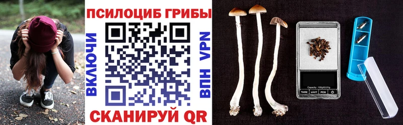 Псилоцибиновые грибы Psilocybine cubensis  Кемь 